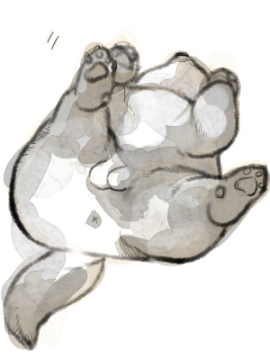 ファイル 168-1.jpg