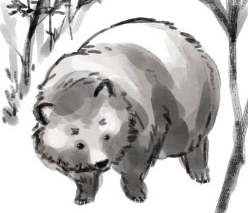 ファイル 26-1.jpg