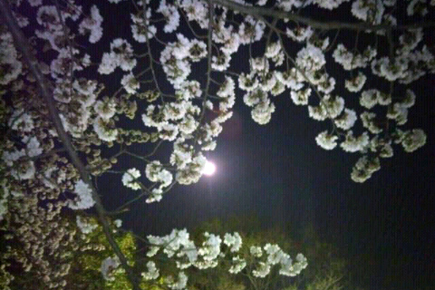 ファイル 340-1.jpg